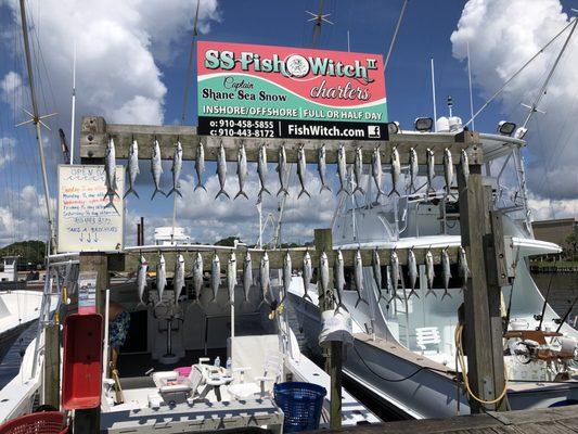 Fish Witch Charters