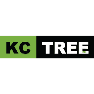 K C Tree