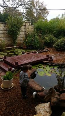 This is a little bridge and Lilly pond with fish.