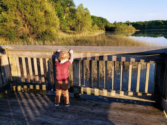 On Fishing Pier at Huron Meadows Metropark