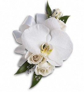 Order your special occasion corsages and floral arrangements today!