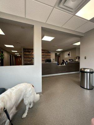 Waiting room and front desk