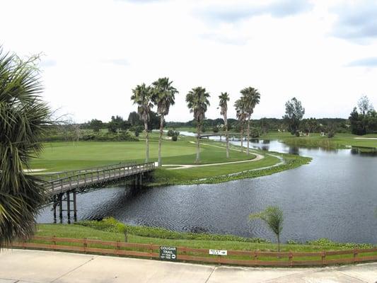 The view from our clubhouse deck