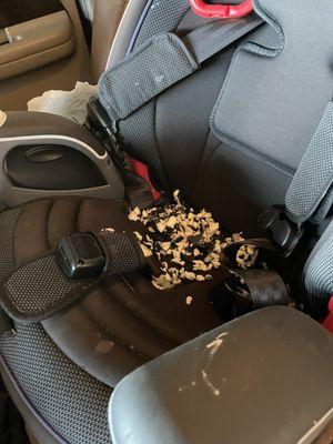 Rats tore up car seat at auto specialist