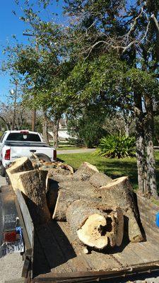 CC Tree Service