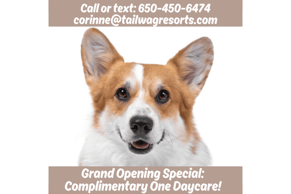 We set a new standard for dog care in your area. We offer expansive playfields, tailored activities & loving care! Call / text: 650-450-6474