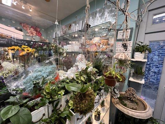 Interior of the shop! Very small, but full of vibrant and fresh flowers