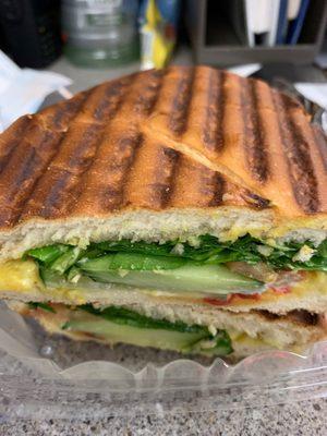 Vegetarian Panini