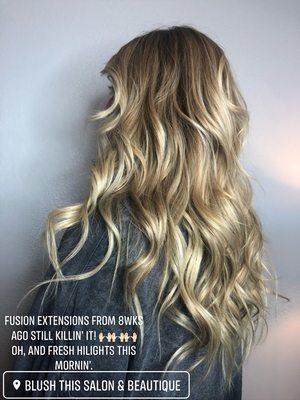 Fusion Extensions by Brandi