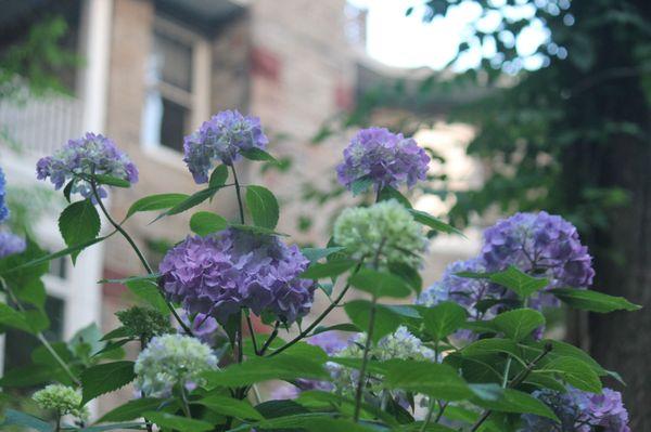 Rockhaven B&B features beautiful natural gardens.