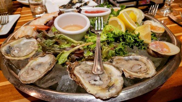 Seafood Sampler- oysters, clams, and shrimp. So fresh, so clean! I had this as my entree.