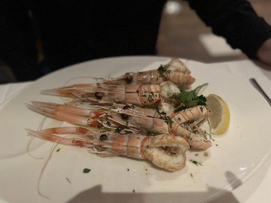 Langoustines