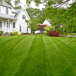 Proper Grounds Maintenance consists of mowing, trimming, weeding, edging, leaf removal and clearing of sidewalks and parking ...