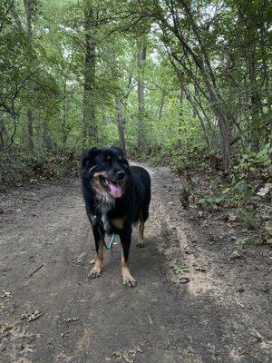 Hiking trails Across the creek