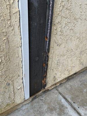 Termite infested wood not replaced