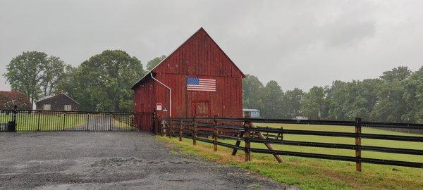 Little bit of Americana during our nightly walks.