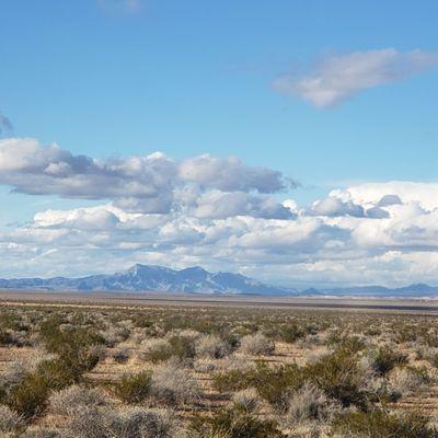 The view on our way to tecopa.