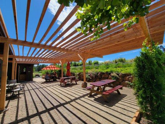 Gorgeous patio with vineyard views