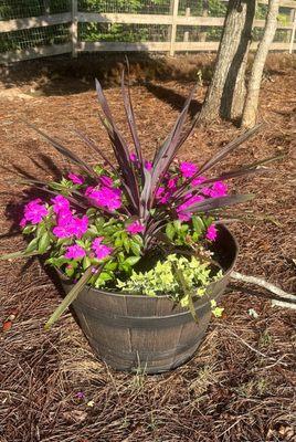 Gorgeous annuals and perennials for my barrels!