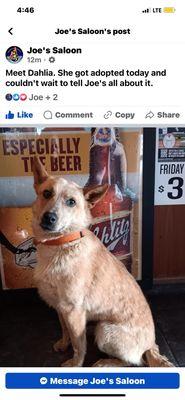 Dahlia made the bar's Facebook page.