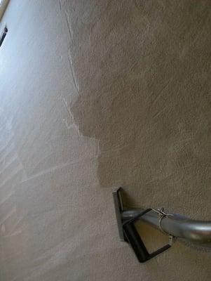 Carpet Cleaning with protection