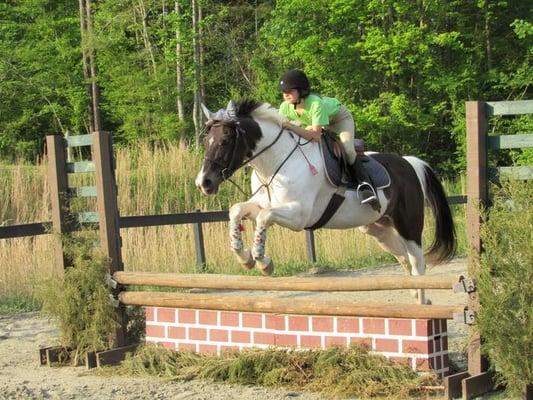 Fox Pointe Farm LLC- Boarding, Lessons, Coaching,Showing,Sales
 804-932-8710