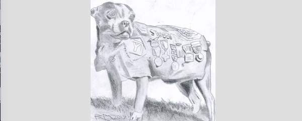 hand drawn doggie hero