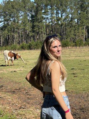 Steer on site (behind fence)