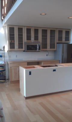 Condo Kitchen Remodels