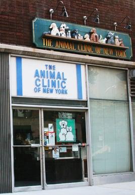 Animal Clinic of New York