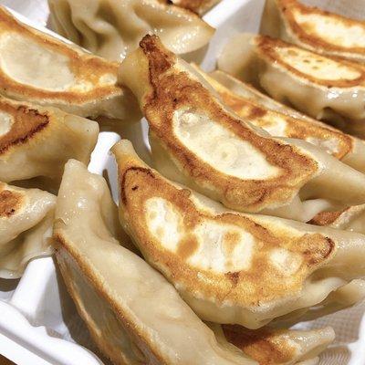 Gyoza