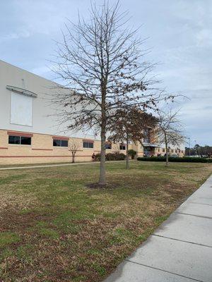 Virginia Beach Field House