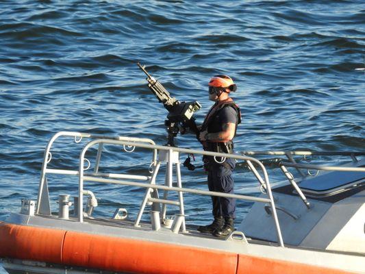 On Guard In The Harbor