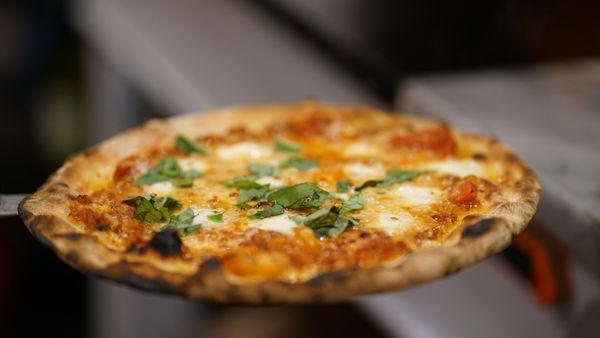 Margherita Pizza