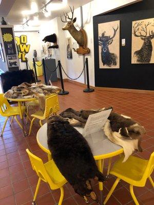 Visit the Pacific Maritime Heritage Center now thru October 9 to see: Animals in Nature: Art & Artifacts! oregoncoasthistory.org