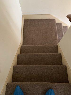 When cleaning stairs we edge, wipe the baseboards and clean the risers. Your satisfaction is Guaranteed!
#extractionplus