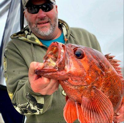 Vermilion Rockfish