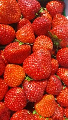 Fresh picked daily Strawberries