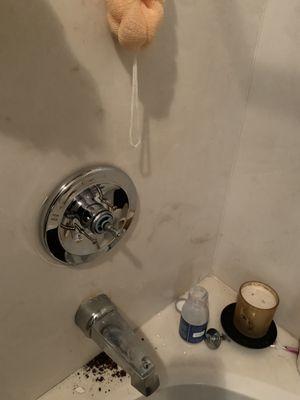 Shower valve replacement