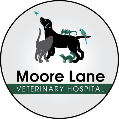 Moore Lane Veterinary Hospital & 24-7 Emergency