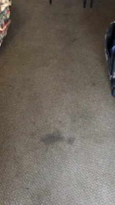 Stains on the carpet