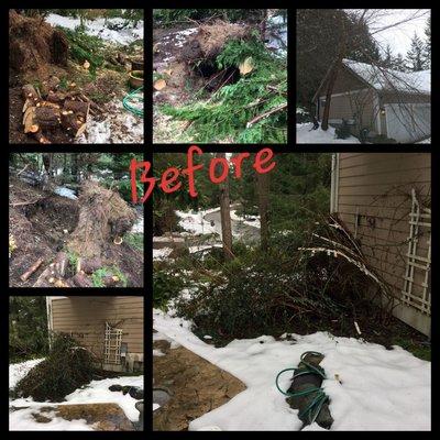 Snow storm damage restoration