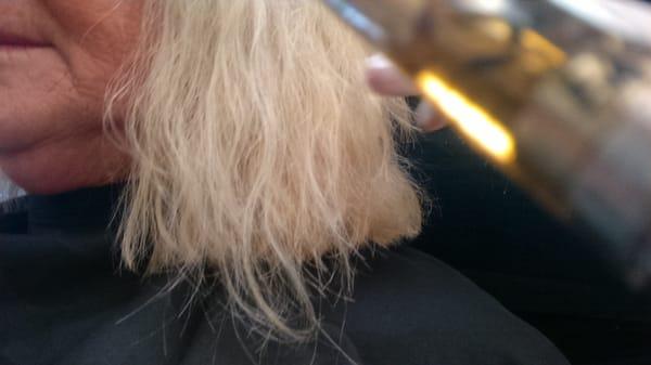 This is how my mother's hair was left after her $225 cut...I also asked for a warm honey blonde with highlights..her hair is PLATINUM WHITE.