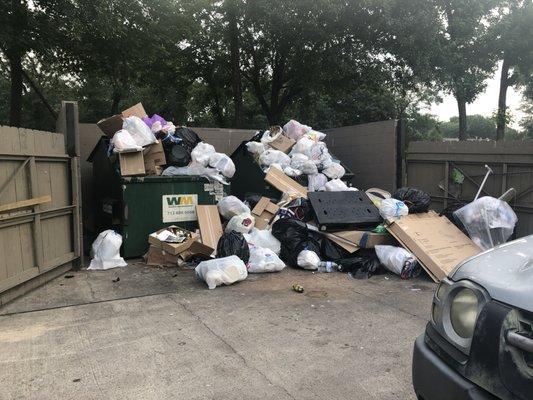 Only 2 trash containers in the complex- usual view no matter what time of month, or day of the year, (each tenant is charged for trash)