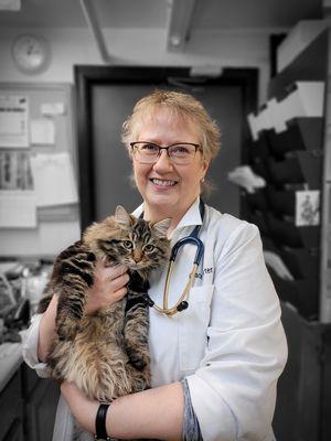 Nob Hill Cat Clinic