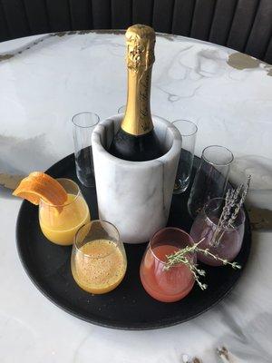 Mimosa sampler