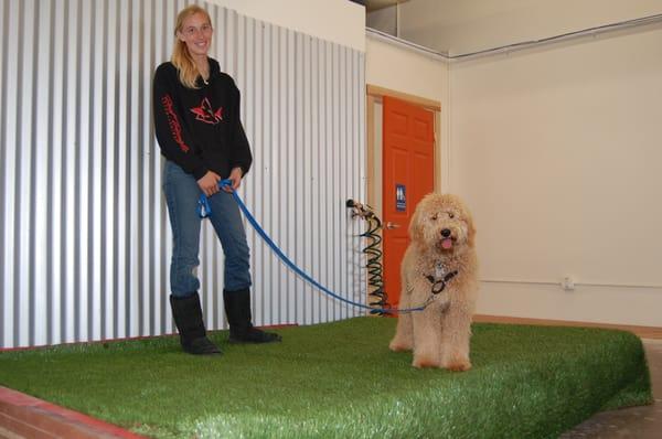 Annie Nagel and Stella on our fully plumbed indoor potty