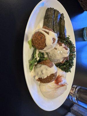 Number #4. Hommous, Tabbouli, Falafel, Stuffed Grape Leaves Combo Platter