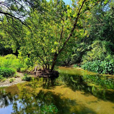 Brushy Creek Trail East