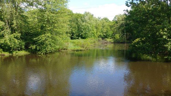 Horseshoe Bend Park